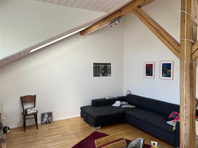 2½ ZI WOHNUNG IN BERN ALTENBERG, MÖBLIERT, TEMPORÄR