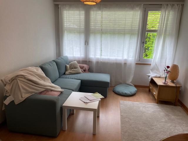 2 ZI WOHNUNG IN BERN BREITENRAIN, MÖBLIERT, TEMPORÄR