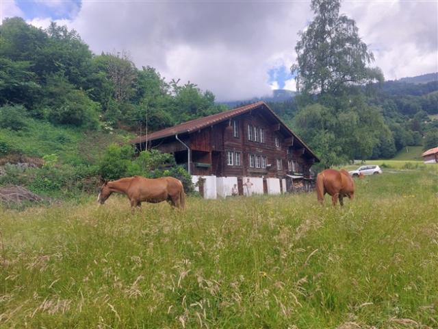 2½ ZI WOHNUNG IN HASLIBERG HOHFLUH BE, MÖBLIERT, TEMPORÄR