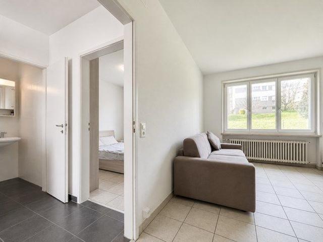 2 Zimmer, 40 m²