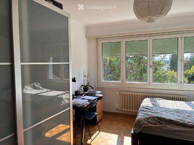 2 Zimmer, 47 m²