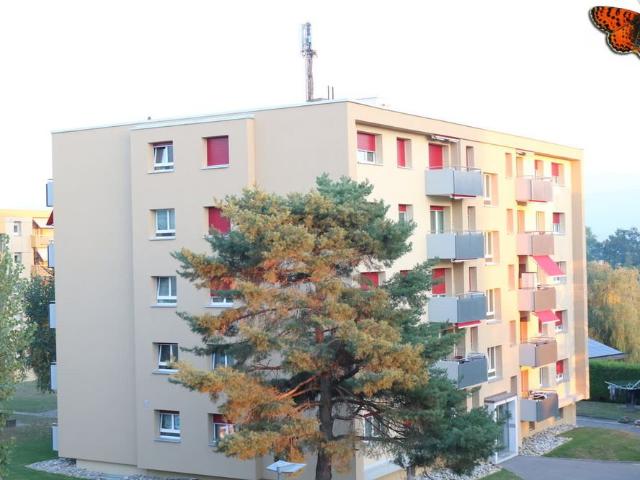 2 Zimmer, 44 m², 4. Stock