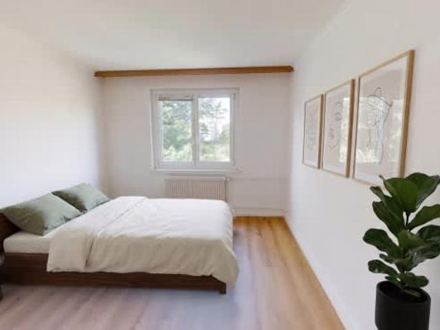 2 Zimmer, 45 m², 1. Stock