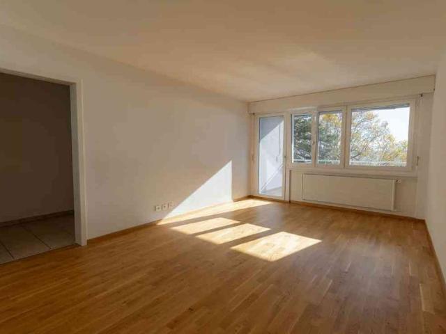 2 Zimmer, 49 m², 1. Stock