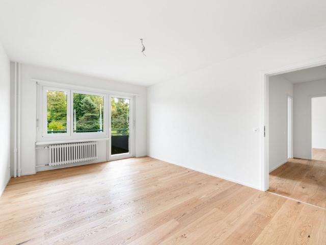 2 Zimmer, 53 m², 1. Stock