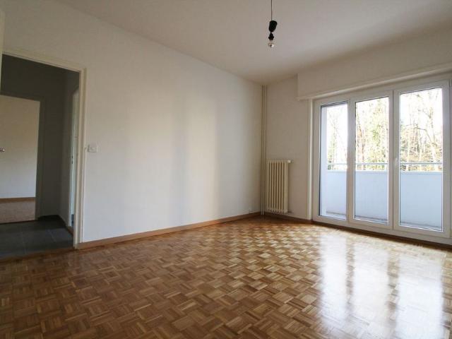 2 Zimmer, 53 m², 1. Stock