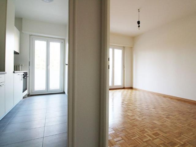 2 Zimmer, 53 m², 1. Stock