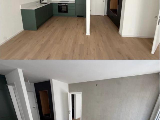 2 Zimmer, 53 m²