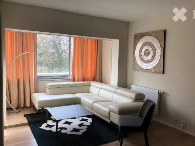 2 Zimmer, 50 m²