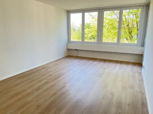 2 Zimmer, 50 m², 1. Stock