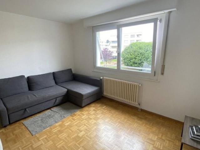 2 Zimmer, 50 m², 1. Stock