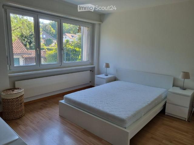 2 Zimmer, 50 m²