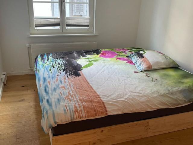 2 Zimmer, 50 m²