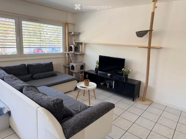 2 Zimmer, 50 m²