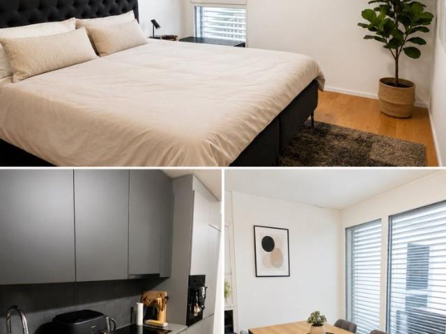 2 Zimmer, 52 m²
