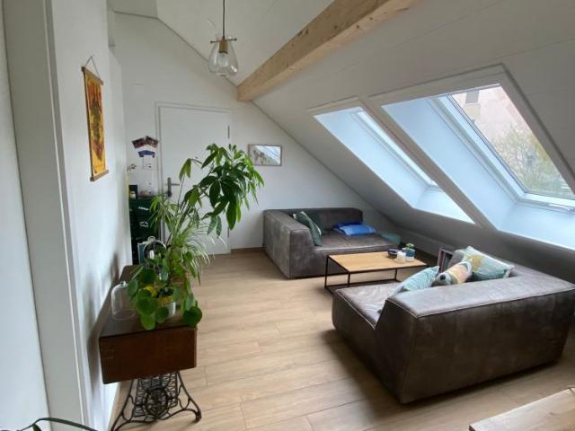 2 Zimmer, 52 m²