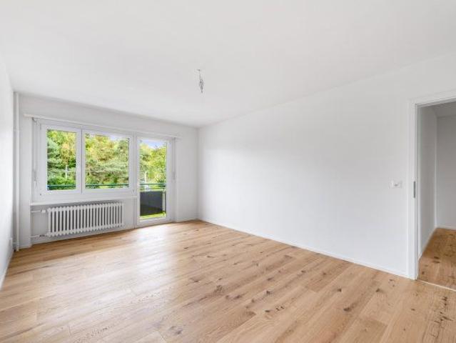 2 Zimmer, 54 m², 1. Stock