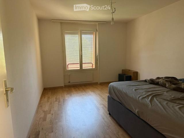 2 Zimmer, 54 m²