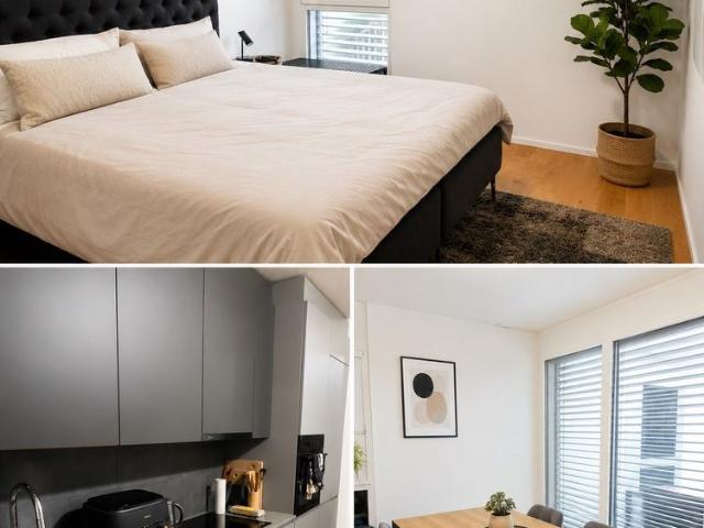 2 Zimmer, 55 m²