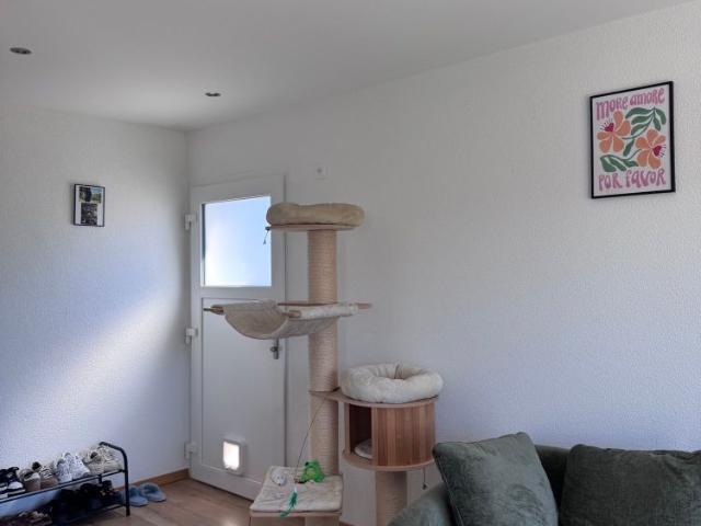 2 Zimmer, 55 m²