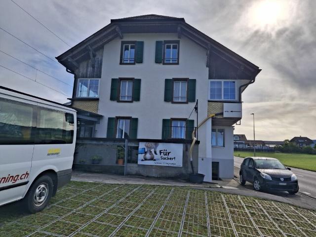 2½ Zimmer Wohnung, hell, gemütlich, ideal für Single