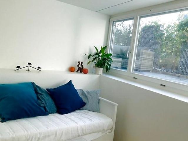 2½ Zimmer Wohnung in Basel Binningen, möbliert, auf Zeit