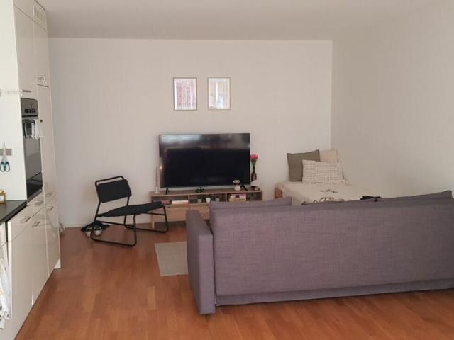 2 Zimmer Wohnung zu vermieten im Haus zur Drachenmühle