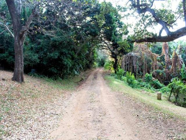 2 040 m² Land available in Palm Beach