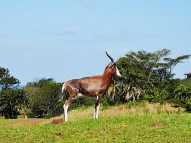 2 048 m² Land available in Port Edward