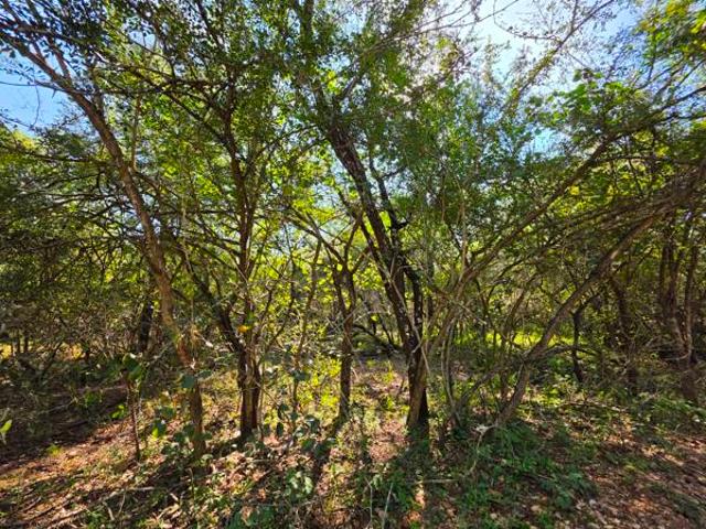 2 050 m² Land available in Marloth Park