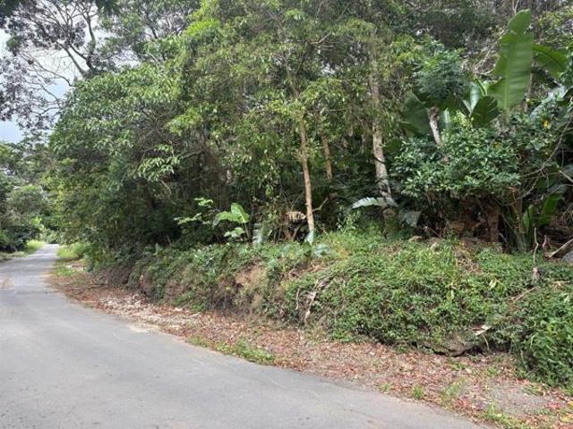 2 081 m² Land available in Southbroom