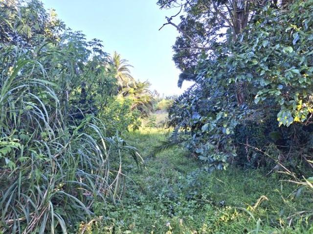 2 085 m² Land available in Palm Beach