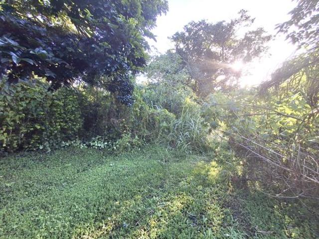 2 085 m² Land available in Palm Beach