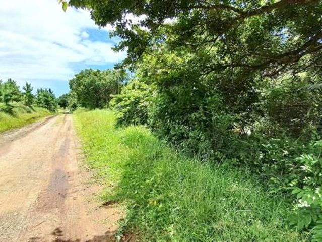 2 003 m² Land available in Palm Beach
