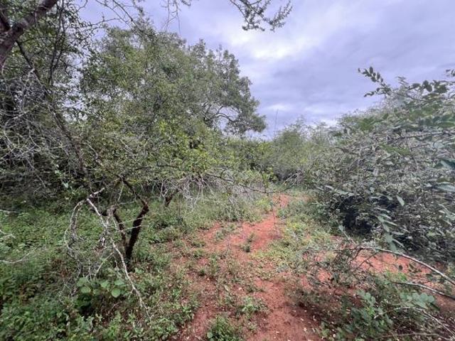 2 000 m² Land available in Marloth Park