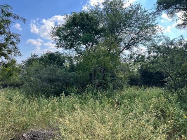 2 000 m² Land available in Marloth Park