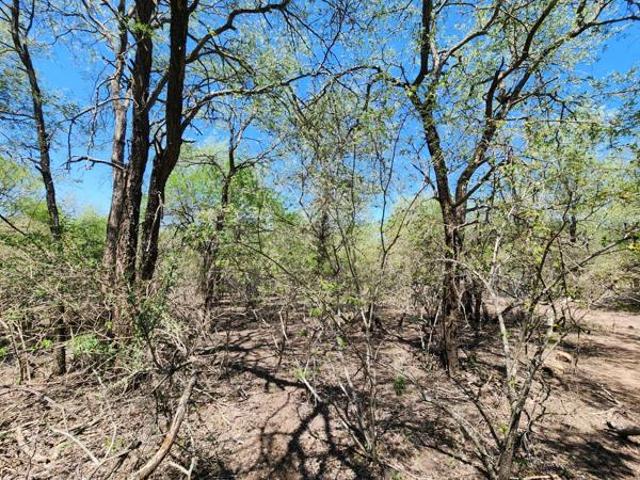 2 000 m² Land available in Marloth Park
