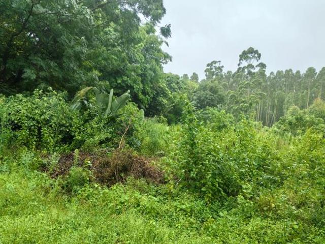 2 000 m² Land available in Kwambonambi