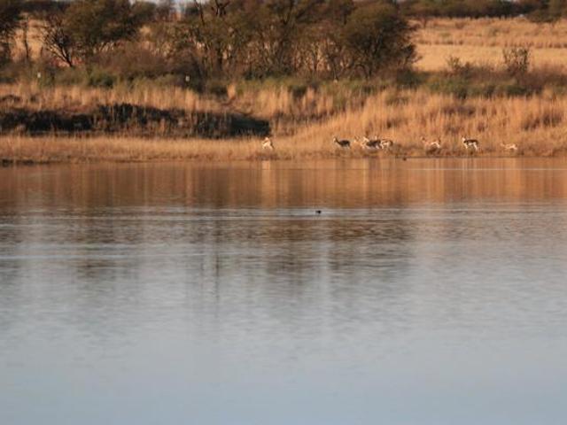 2 000 m² Land available in Lekwena Wildlife Estate