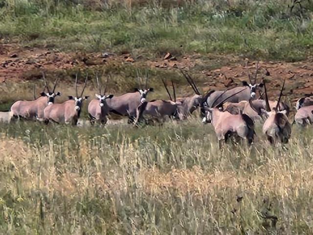 2 000 m² Land available in Lekwena Wildlife Estate