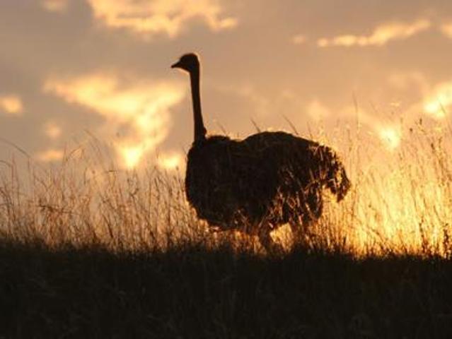 2 000 m² Land available in Lekwena Wildlife Estate