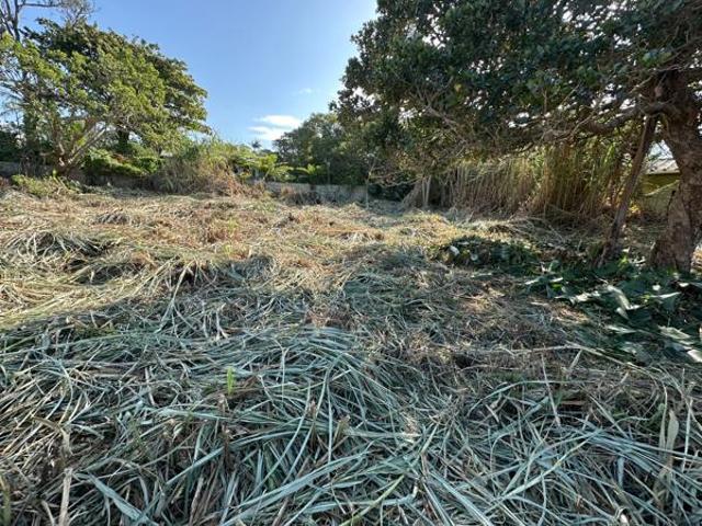 2 000 m² Land available in Port Edward
