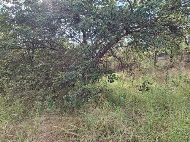 2 000 m² Land available in Tzaneen