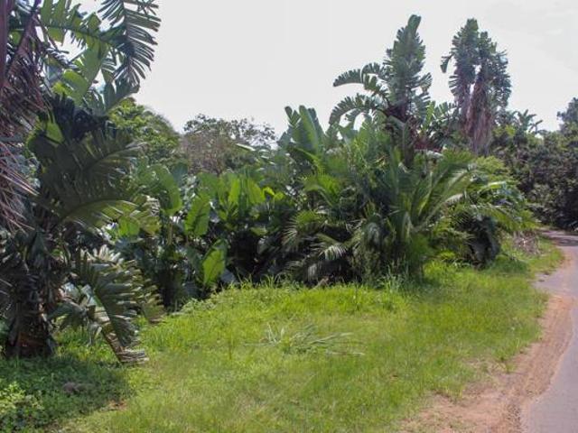 2 000 m² Land available in Umtentweni