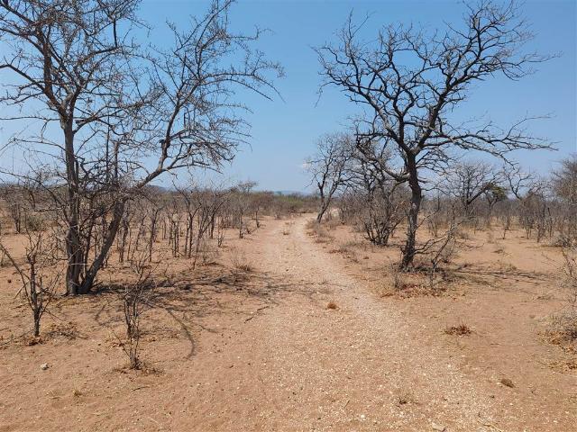 2 004 ha Farm in Musina