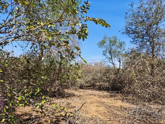 2 012 m² Land available in Marloth Park