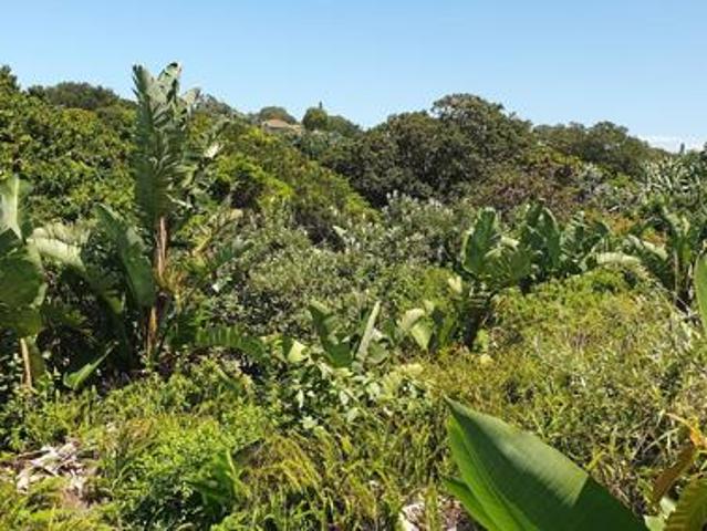 2 031 m² Land available in Trafalgar