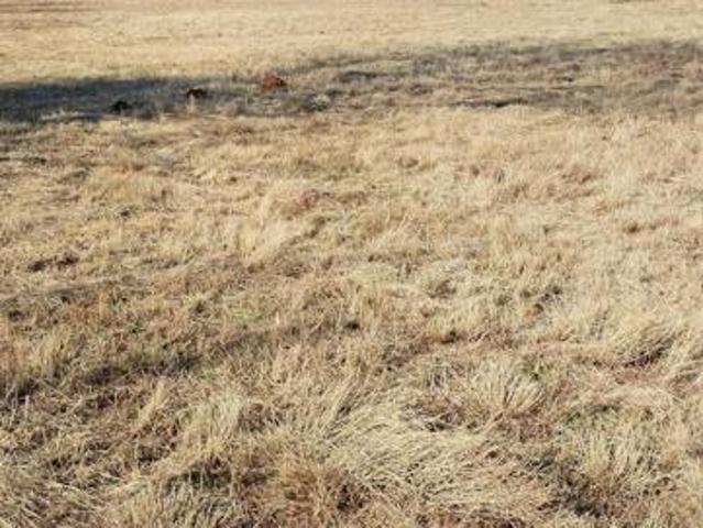 2 032 m² Land available in Henley on Klip