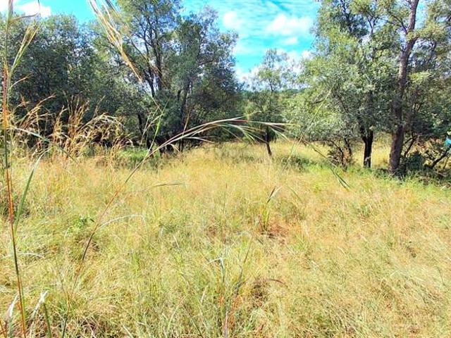 2 038 m² Land available in Modimole Nylstroom