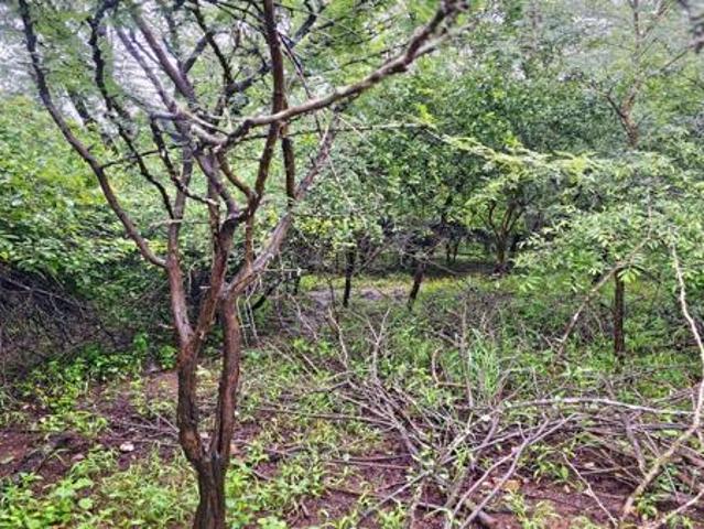 2 143 m² Land available in Marloth Park